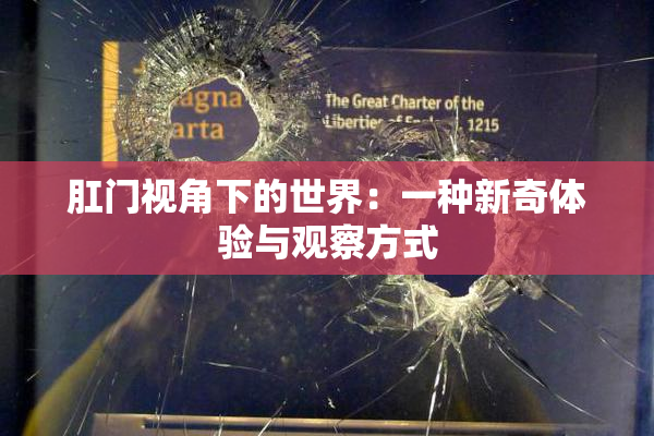 肛门视角下的世界：一种新奇体验与观察方式