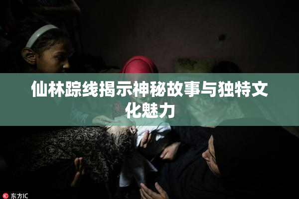 仙林踪线揭示神秘故事与独特文化魅力
