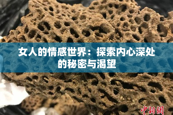 女人的情感世界：探索内心深处的秘密与渴望