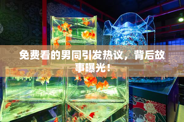 免费看的男同引发热议，背后故事曝光！