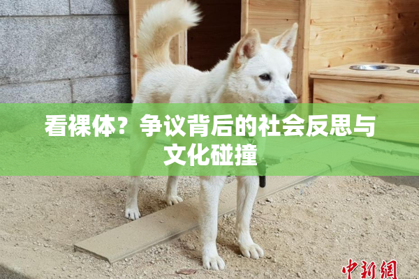 看裸体？争议背后的社会反思与文化碰撞