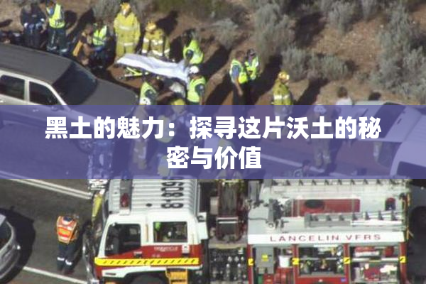 黑土的魅力：探寻这片沃土的秘密与价值
