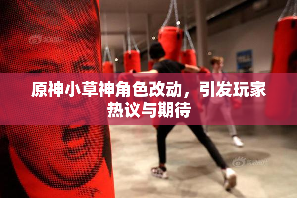 原神小草神角色改动，引发玩家热议与期待