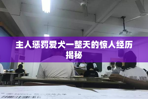 主人惩罚爱犬一整天的惊人经历揭秘