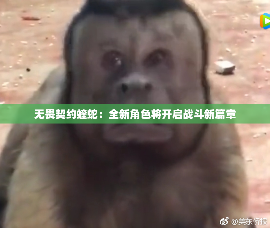 无畏契约蝰蛇：全新角色将开启战斗新篇章