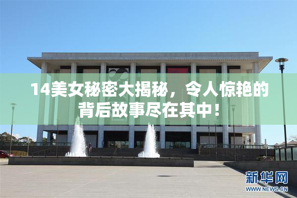 14美女秘密大揭秘，令人惊艳的背后故事尽在其中！