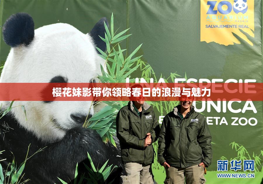 樱花妹影带你领略春日的浪漫与魅力