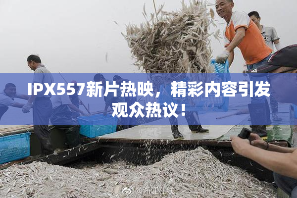 IPX557新片热映，精彩内容引发观众热议！