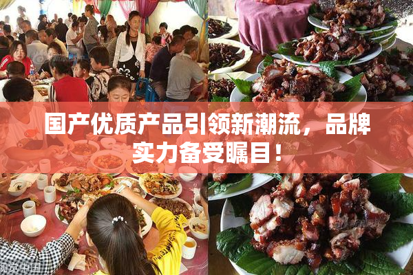 国产优质产品引领新潮流，品牌实力备受瞩目！