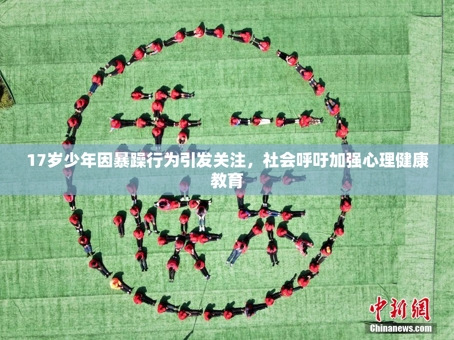 17岁少年因暴躁行为引发关注，社会呼吁加强心理健康教育