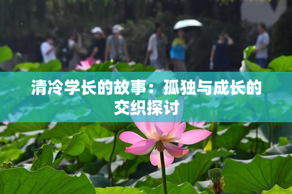 清冷学长的故事：孤独与成长的交织探讨