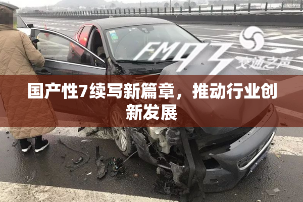 国产性7续写新篇章，推动行业创新发展