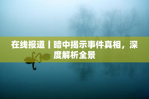 在线报道丨暗中揭示事件真相，深度解析全景
