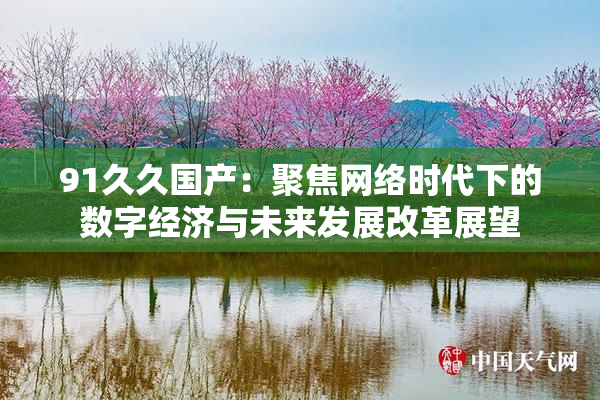 91久久国产：聚焦网络时代下的数字经济与未来发展改革展望