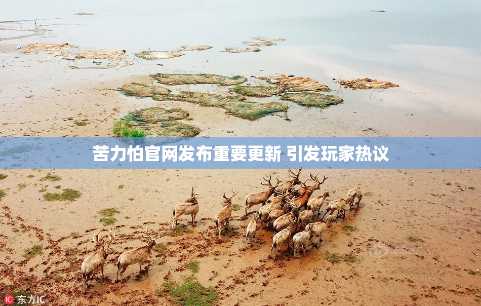 苦力怕官网发布重要更新 引发玩家热议