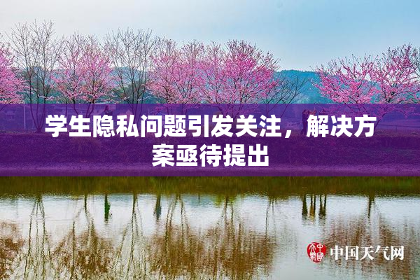 学生隐私问题引发关注，解决方案亟待提出