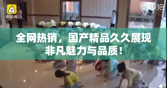 全网热销，国产精品久久展现非凡魅力与品质！