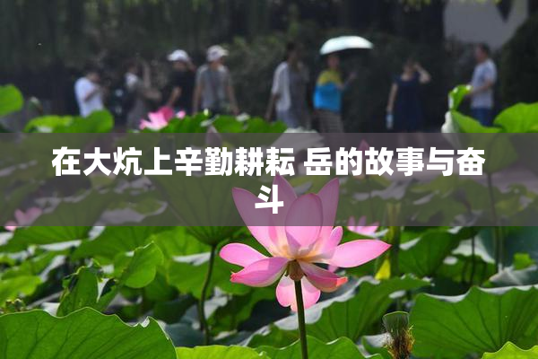 在大炕上辛勤耕耘 岳的故事与奋斗