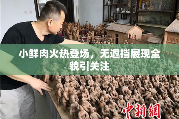 小鲜肉火热登场，无遮挡展现全貌引关注