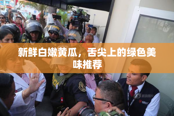 新鲜白嫩黄瓜，舌尖上的绿色美味推荐