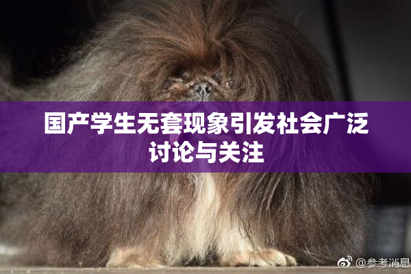 国产学生无套现象引发社会广泛讨论与关注