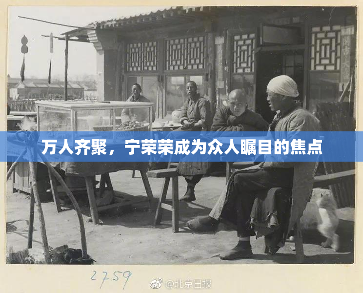 万人齐聚，宁荣荣成为众人瞩目的焦点