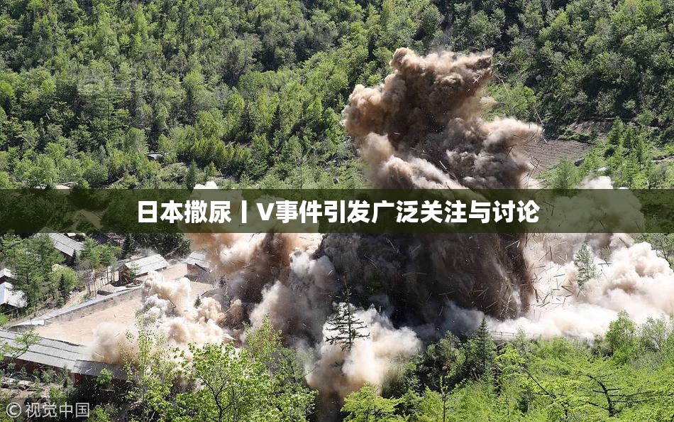 日本撒尿丨V事件引发广泛关注与讨论