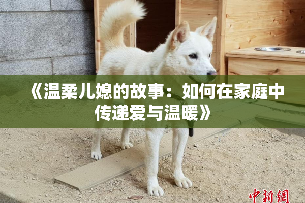 《温柔儿媳的故事：如何在家庭中传递爱与温暖》