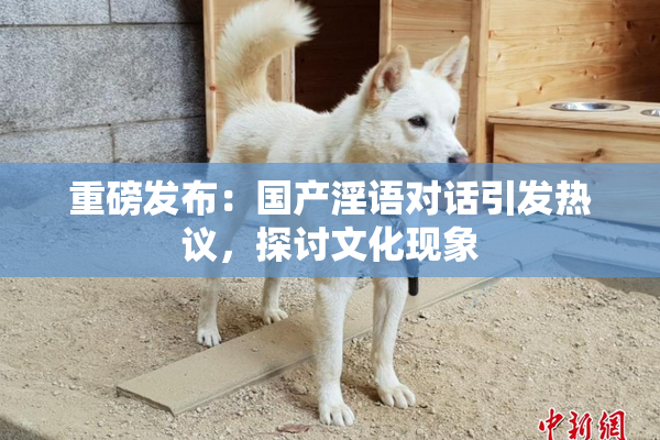 重磅发布：国产淫语对话引发热议，探讨文化现象
