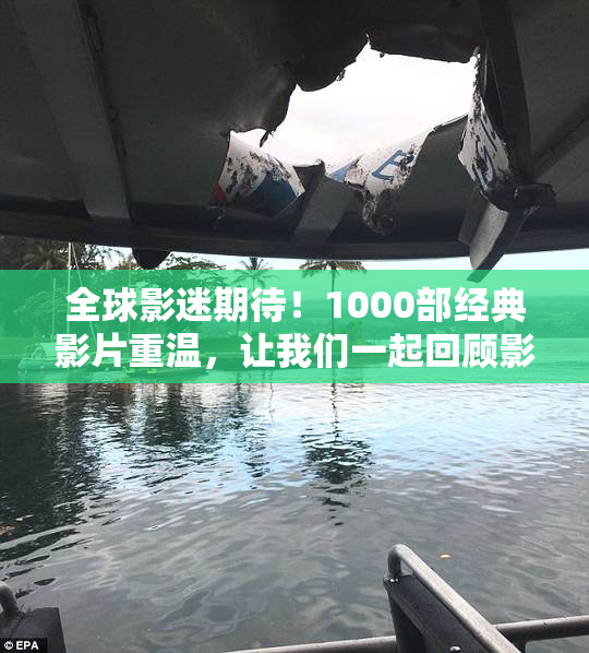 全球影迷期待！1000部经典影片重温，让我们一起回顾影视精彩瞬间