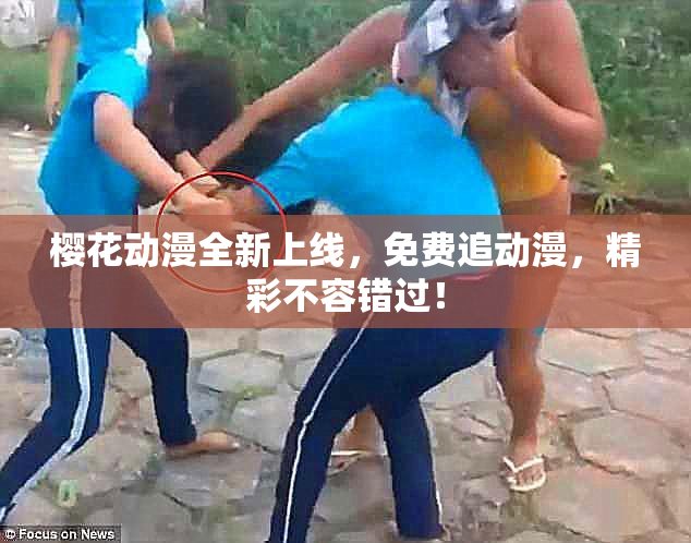 樱花动漫全新上线，免费追动漫，精彩不容错过！