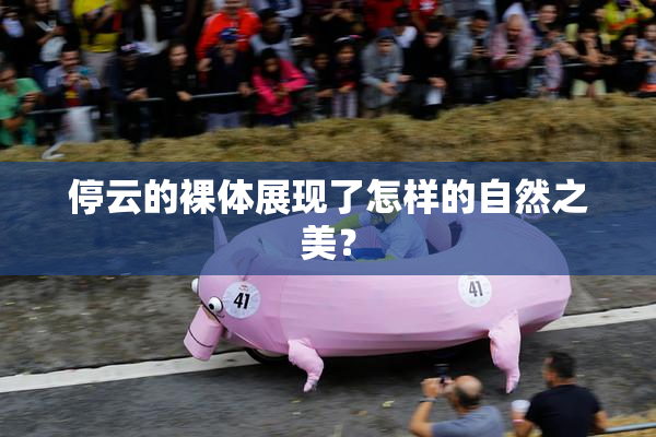 停云的裸体展现了怎样的自然之美？