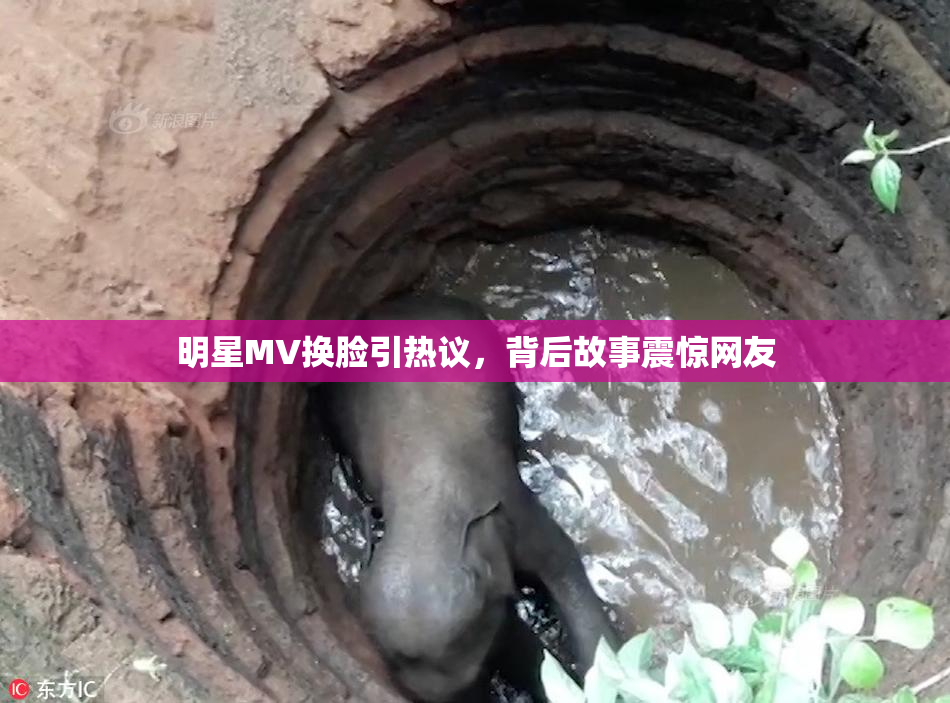 明星MV换脸引热议，背后故事震惊网友