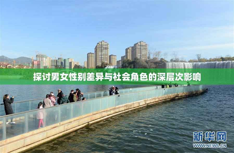 探讨男女性别差异与社会角色的深层次影响