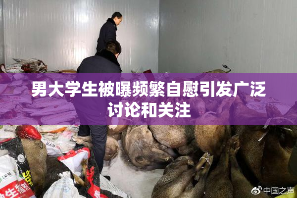 男大学生被曝频繁自慰引发广泛讨论和关注