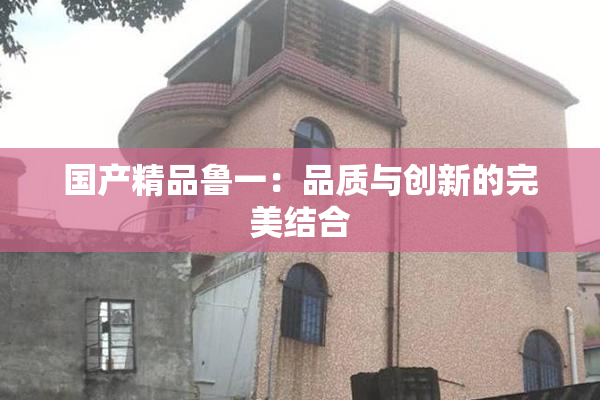 国产精品鲁一：品质与创新的完美结合