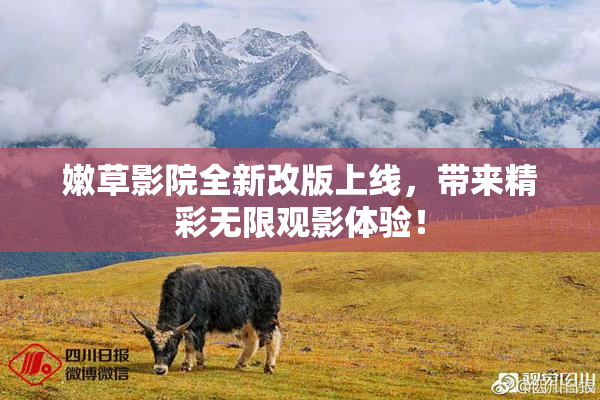 嫩草影院全新改版上线，带来精彩无限观影体验！