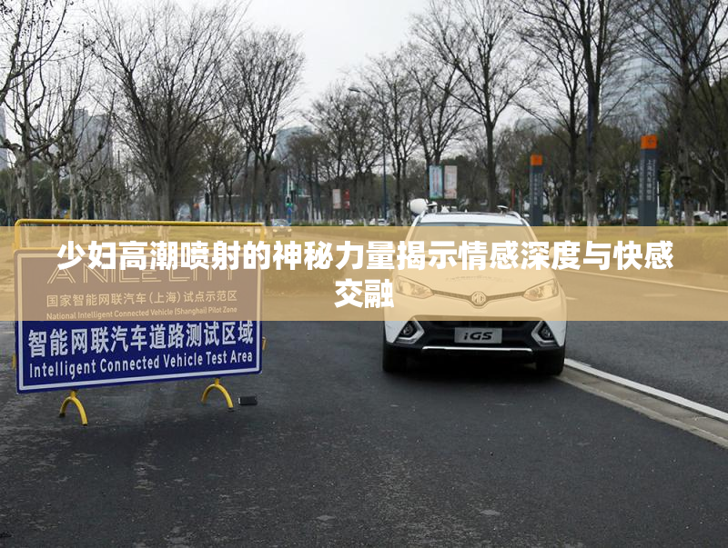 少妇高潮喷射的神秘力量揭示情感深度与快感交融