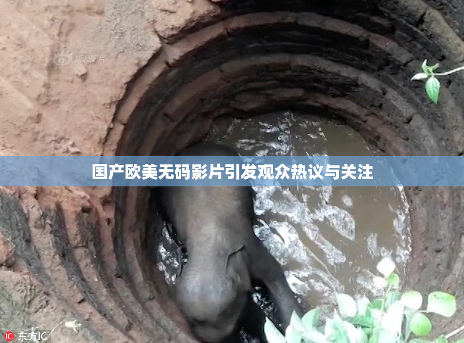 国产欧美无码影片引发观众热议与关注