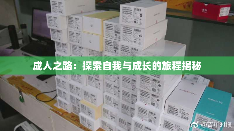 成人之路：探索自我与成长的旅程揭秘