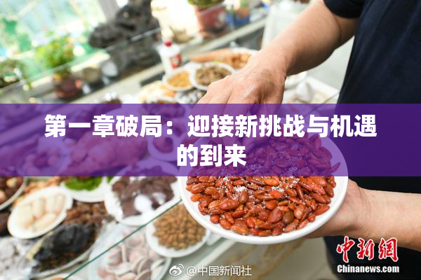 第一章破局：迎接新挑战与机遇的到来