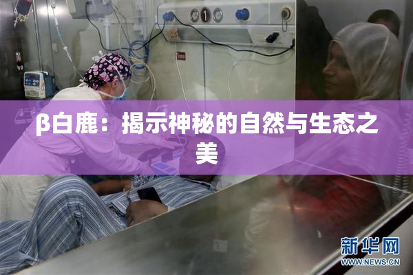 β白鹿：揭示神秘的自然与生态之美