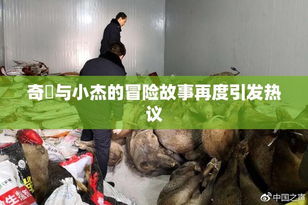 奇犽与小杰的冒险故事再度引发热议