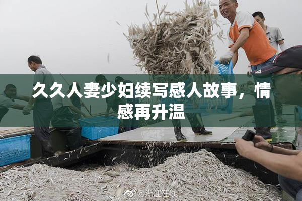 久久人妻少妇续写感人故事，情感再升温