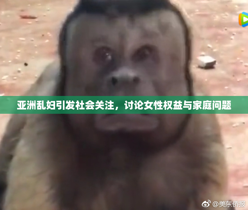 亚洲乱妇引发社会关注，讨论女性权益与家庭问题