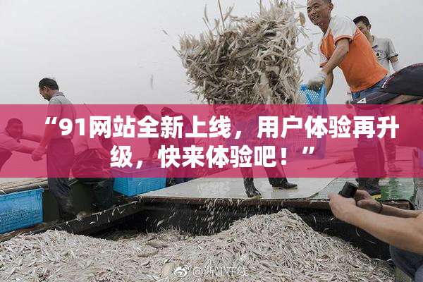 “91网站全新上线，用户体验再升级，快来体验吧！”