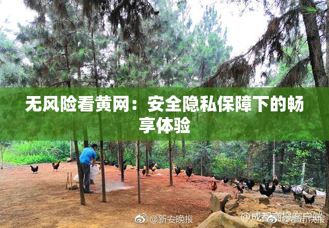 无风险看黄网：安全隐私保障下的畅享体验