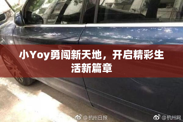 小Yoy勇闯新天地，开启精彩生活新篇章