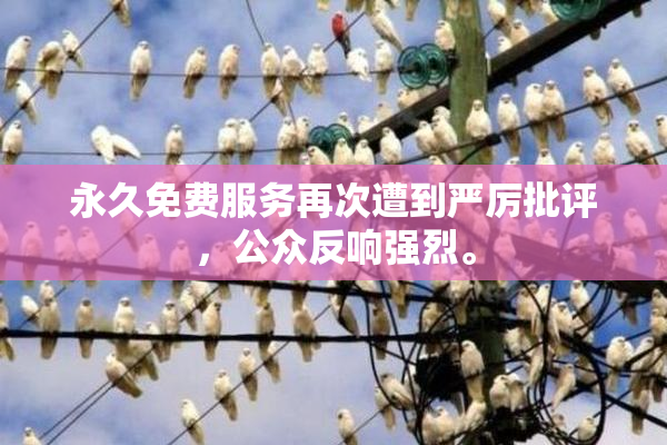 永久免费服务再次遭到严厉批评，公众反响强烈。
