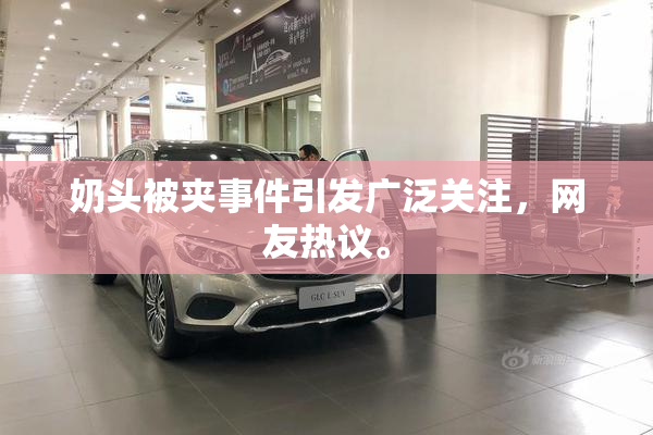 奶头被夹事件引发广泛关注，网友热议。